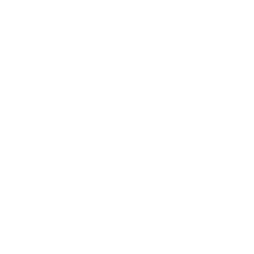 play icon