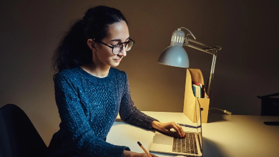 Niche edits service
